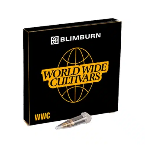 CBD Supreme Durban – Bild 2