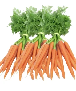 Bundkarotten – Möhrenbund 3 x Bund
