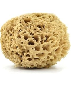 <strong>Meerschwamm aus Griechenland</strong> für Gesicht und Körper „Kapadiko“ Natur