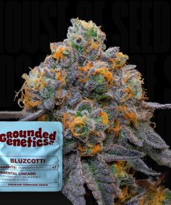 Bluzcotti – House of Seeds